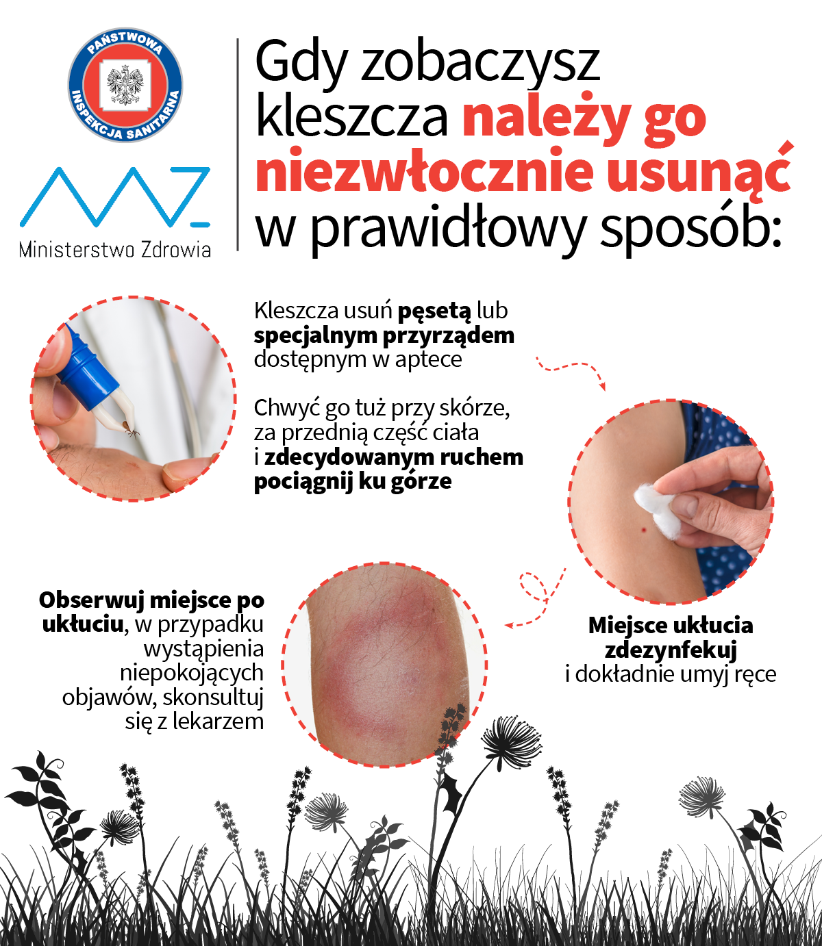 JakUsunacKleszcza