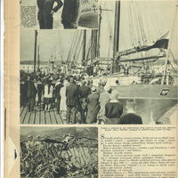 skan4 1